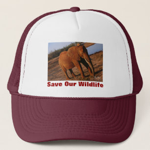 Big Red Sauver notre Casquette de la faune