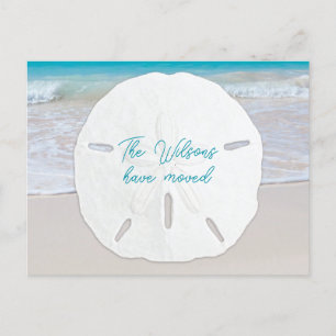 Big Sand Dollar Tropical Nouvelle Adresse Cartes P