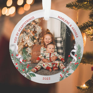 Big Sis 1er cadre classique Plante argent de Noël