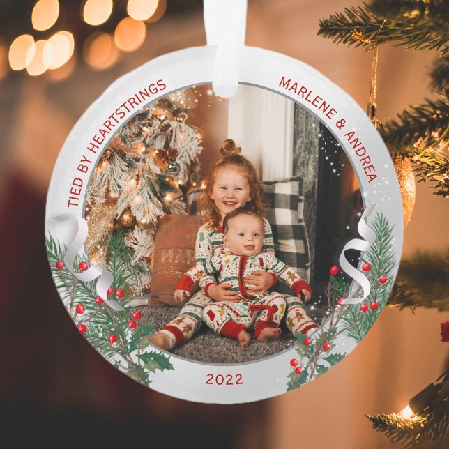 Big Sis 1er cadre classique Plante argent de Noël (Créateur téléchargé)