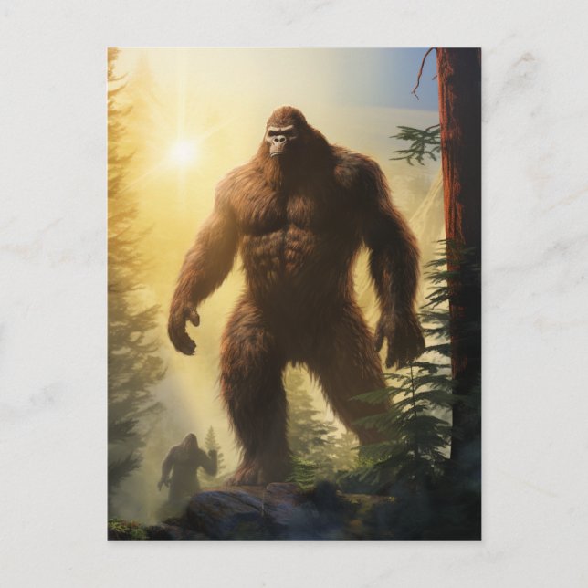 Bigfoots dans la carte postale Forrest (Devant)