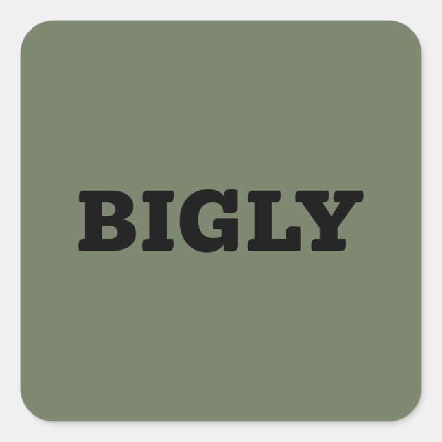 BIGLY CARRÉ STICKER (Devant)
