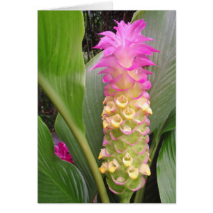 Bijou de Thaïlande