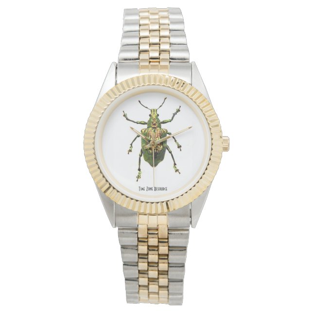 Bijoux de Montre d'insectes du scarabée (devant)
