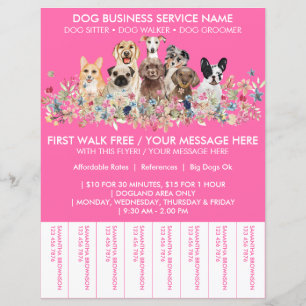 Billet à budget pour promeneur de chien de races r