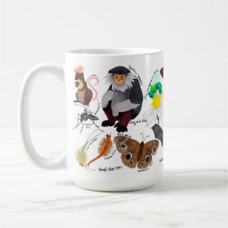 BIOL459 Model Organism Mug