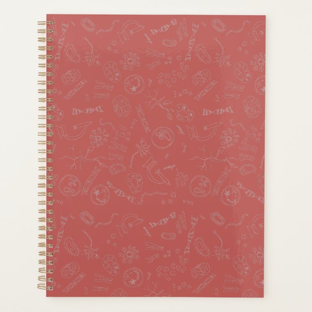 Biologie diagramme conception dusky rose (Devant)