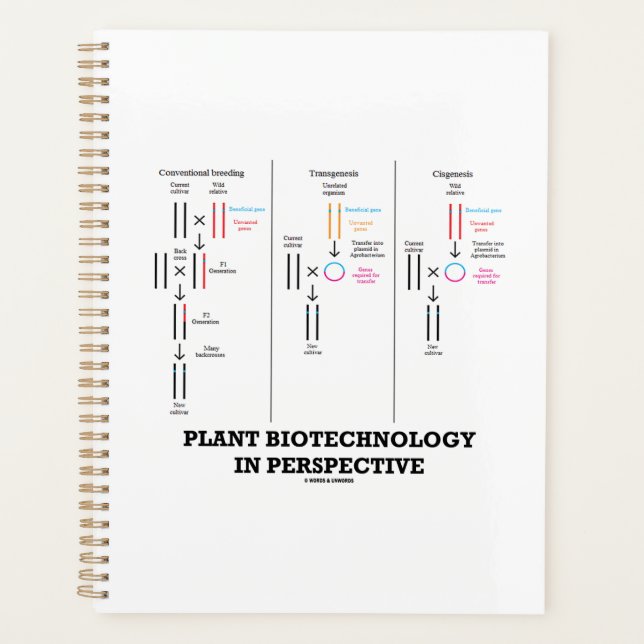 Biotechnologie plante En Perspective (Transgenèse) (Devant)