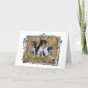 Birch Birds Carte photo horizontal