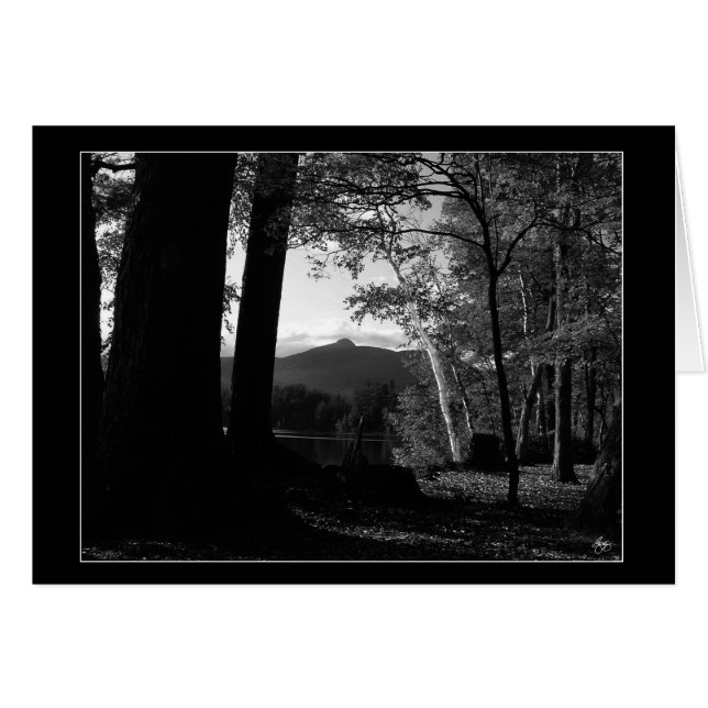 Birch blanc dans une carte de coucher de soleil Ch (Devant horizontal)