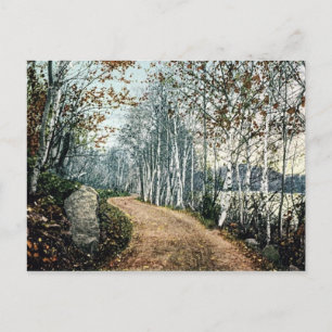 Birch Dr, Lake George NY Postage Carte postale
