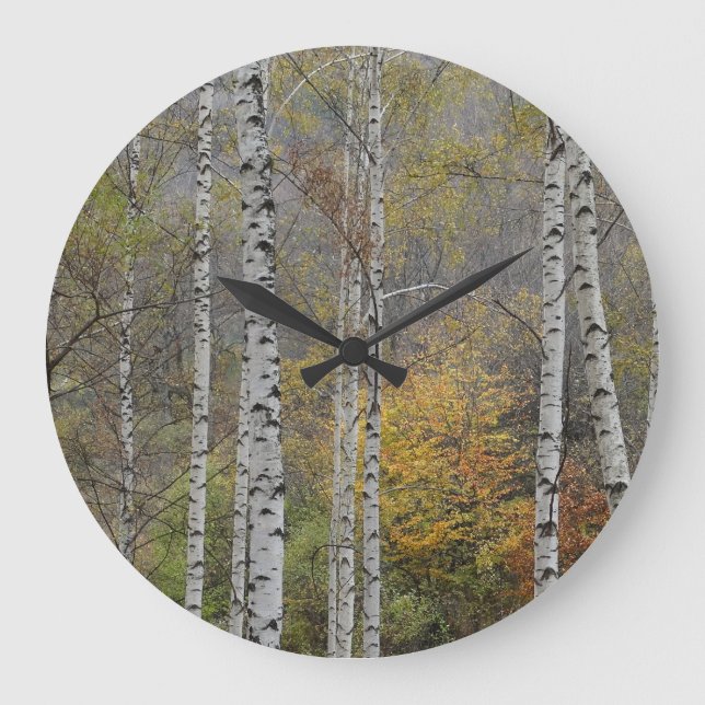 Birch Forrest Automne Photo Round Wall Horloge (Recto)
