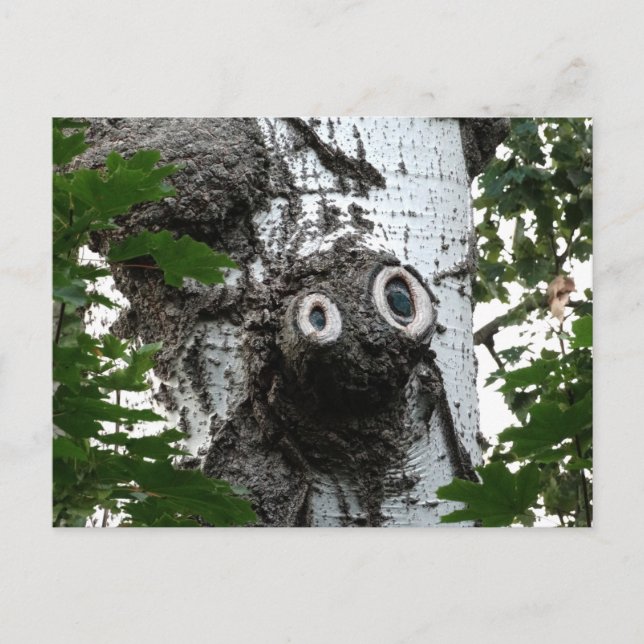 Birch Soul Tree Magic Face Photocard Carte postale (Devant)