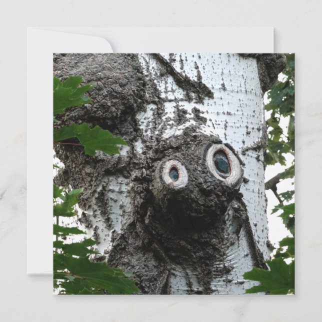 Birch Soul Tree Magic Face Photographie Invitation (Devant)