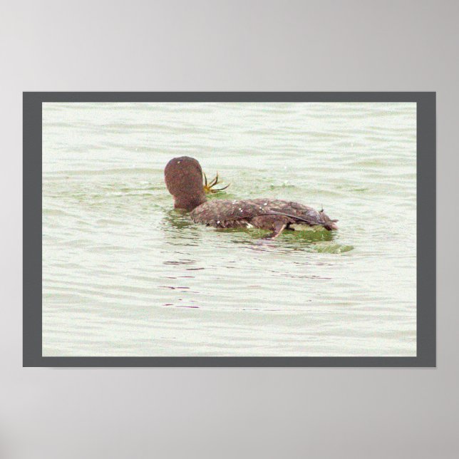 Bird Fishing in Ocean Poster (Devant)