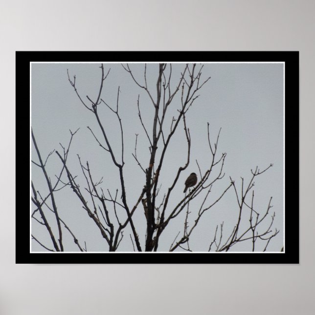 Bird in a Bare Tree Poster (Devant)