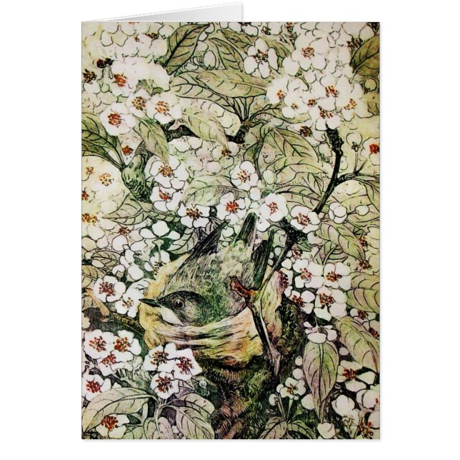 BIRD NEST,TREE WITH BROWN WHITE SPRING FLOWERS (Devant)