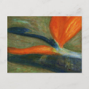 Bird of Paradise, Carte postale