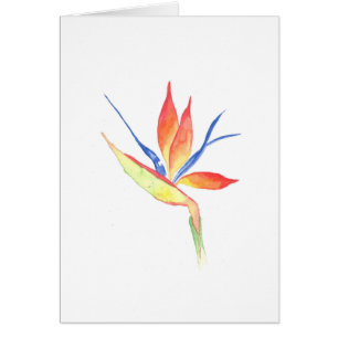 Bird of Paradise Watercolor Imprimer carte de voeu