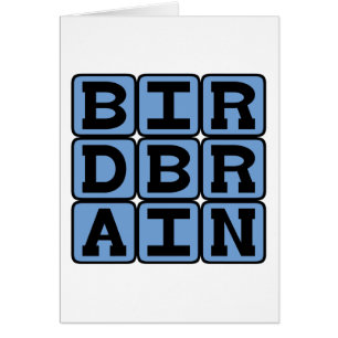 Birdcerveau, Bird Watcher