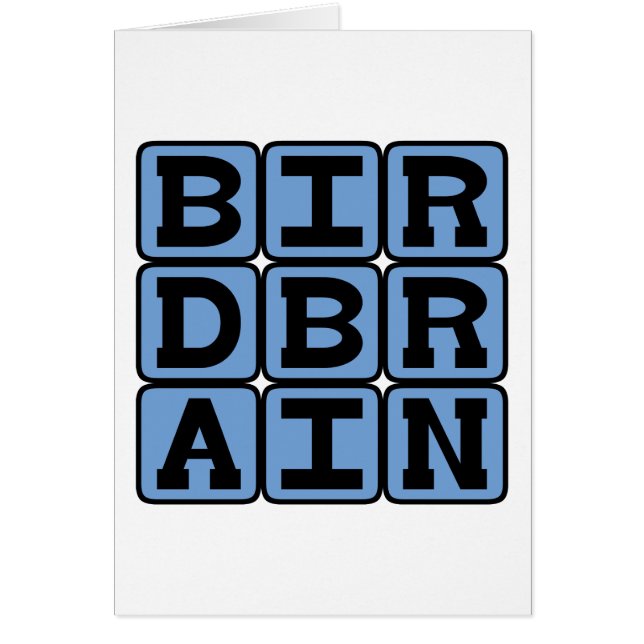 Birdcerveau, Bird Watcher (Devant)