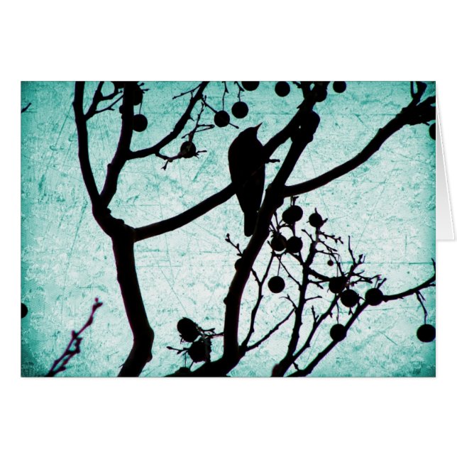 Birdie (Devant horizontal)