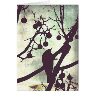 Birdie Toutes les occasions