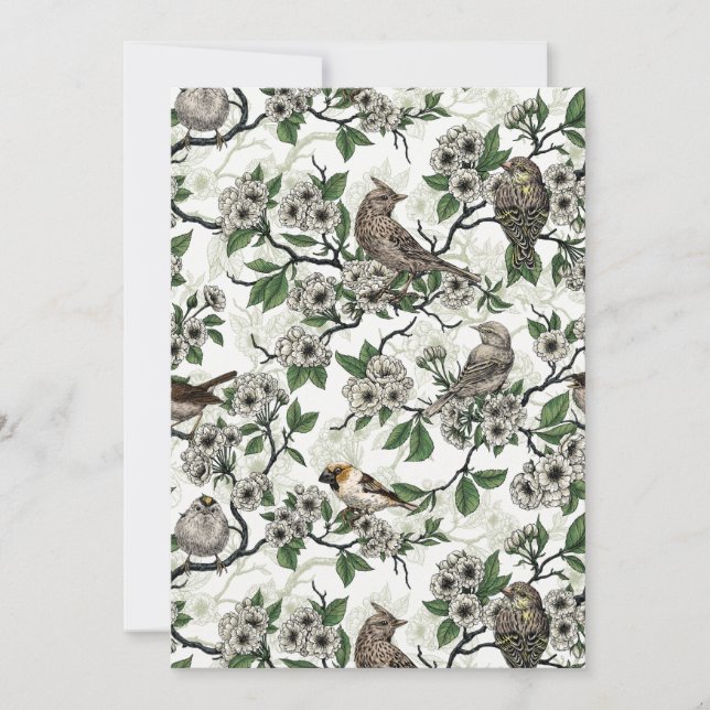 Birds and cherry blossom on white (Devant)