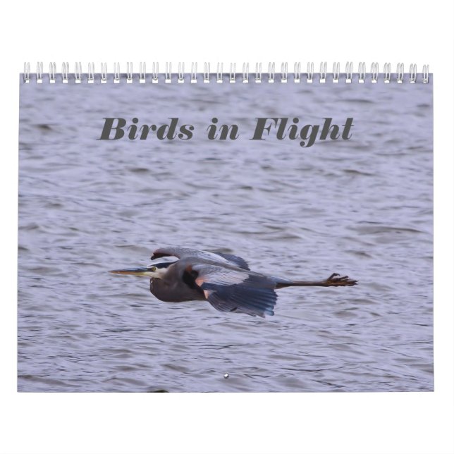 Birds dans le calendrier de vol (Protection)
