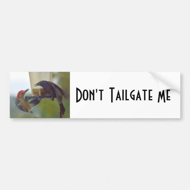 Birds Dont Tailgate Me Bumper Sticker (Devant)
