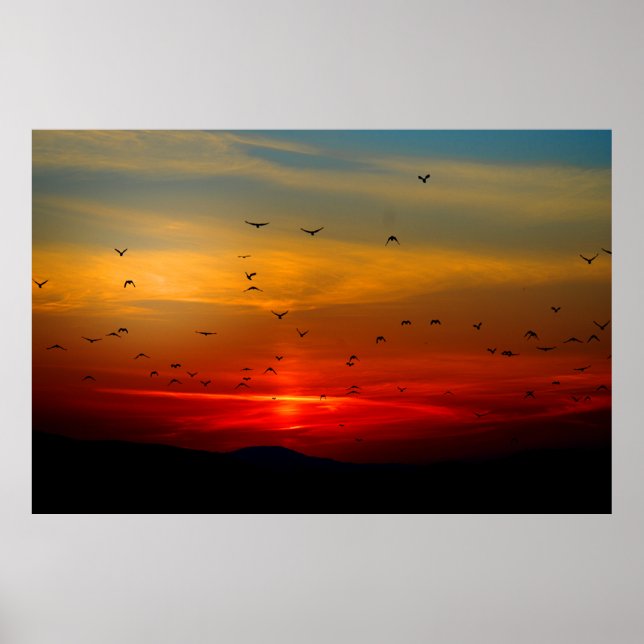 Birds Fly Into Sunset Extra Large Poster (Devant)