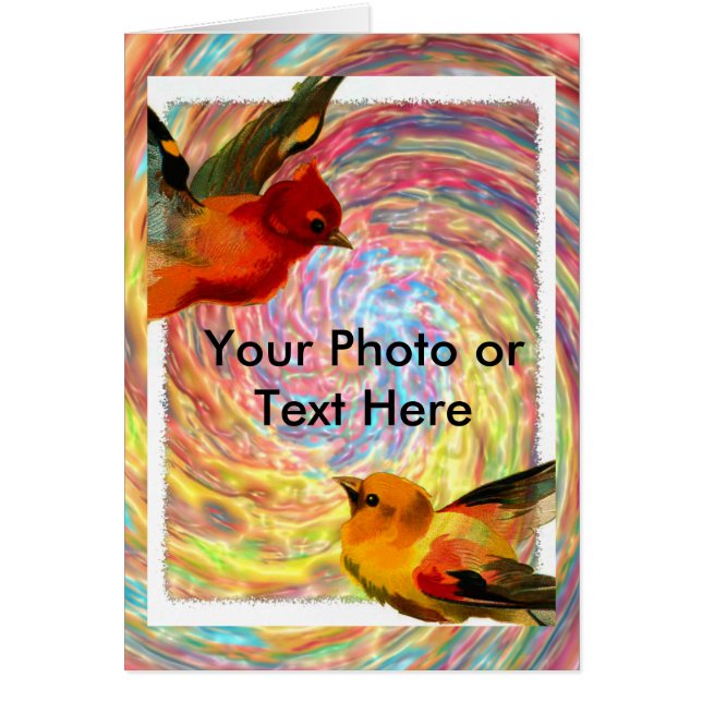 Birds Frame 2, votre photo ou texte ici (Devant)