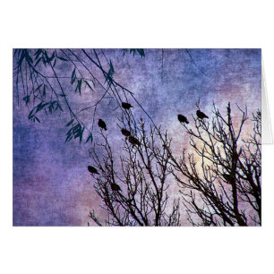 Birds of a Feather