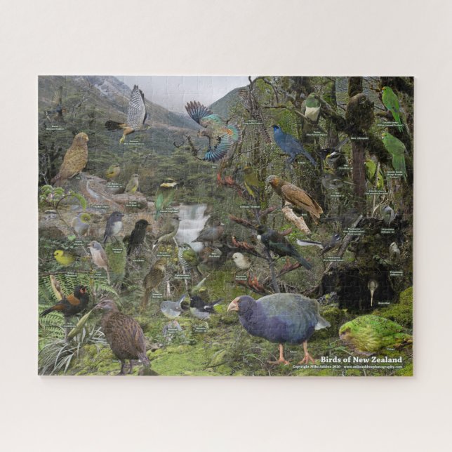 Birds of New Zealand Puzzle (Horizontal)