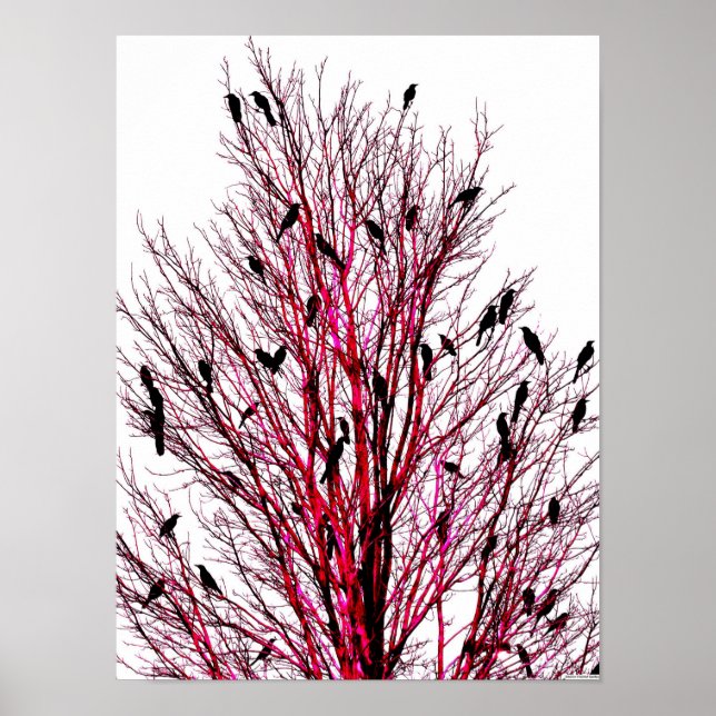 "Birds of Texas Red" JTG Art Poster (Devant)