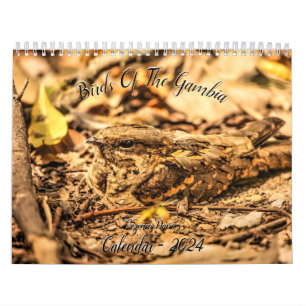 Birds of The Gambia 2024 Calendrier