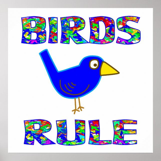 BIRDS RULE Affiche (Devant)
