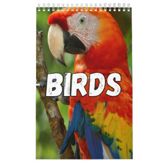 Birds Showcase Collection Wall Calendrier