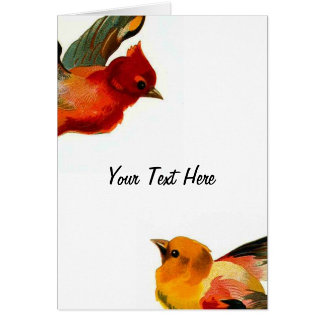 Birds Your Text Here (Devant)