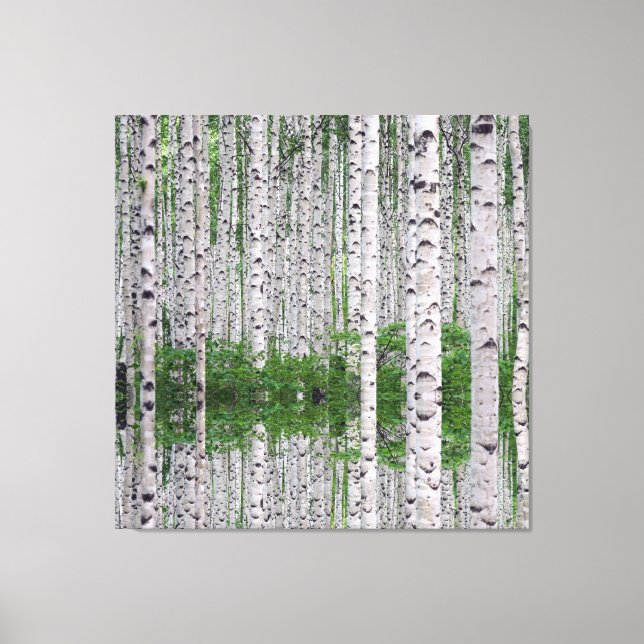 Birg Tree Forest Nature Toile Mur Art (Recto)