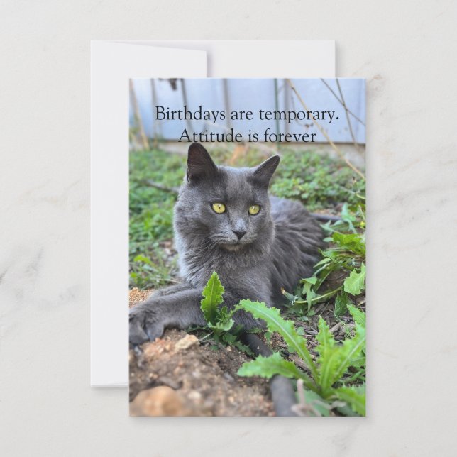 birthday card (Devant)