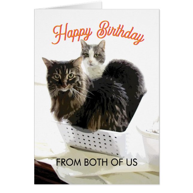 Birthday From Both Of Us Cute Cat Art  (Devant)