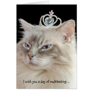 Birthday Ragdoll Cat with Crown