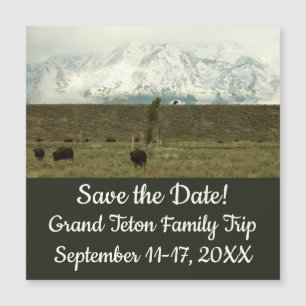 Bison à Grand Teton National Park Photographie