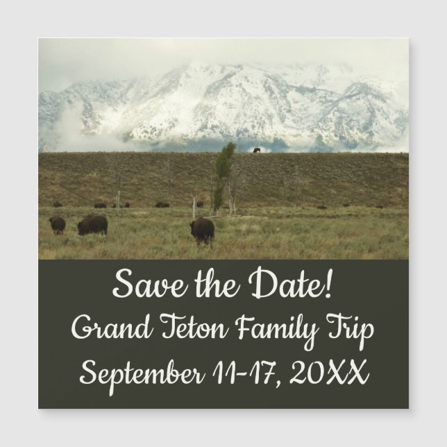 Bison à Grand Teton National Park Photographie (Devant)