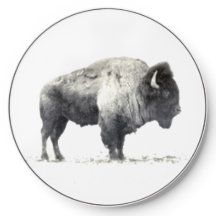 Bison américain