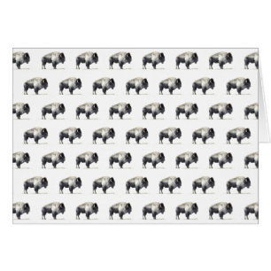 Bison américain