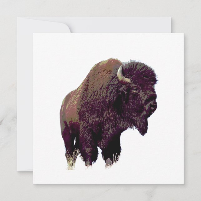 Bison Buffalo  (Devant)