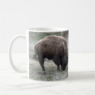 Bison Buffalo Café Mug