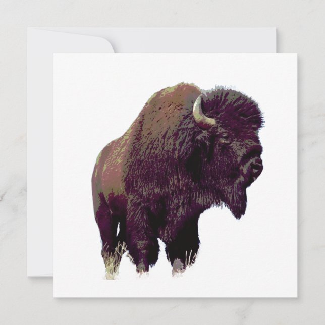 Bison Buffalo Card (Devant)